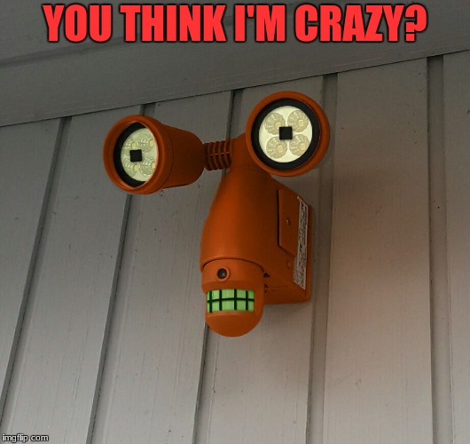 This unintentionally looked like Roberto from Futurama | YOU THINK I'M CRAZY? | image tagged in funny,memes,futurama,pareidolia | made w/ Imgflip meme maker