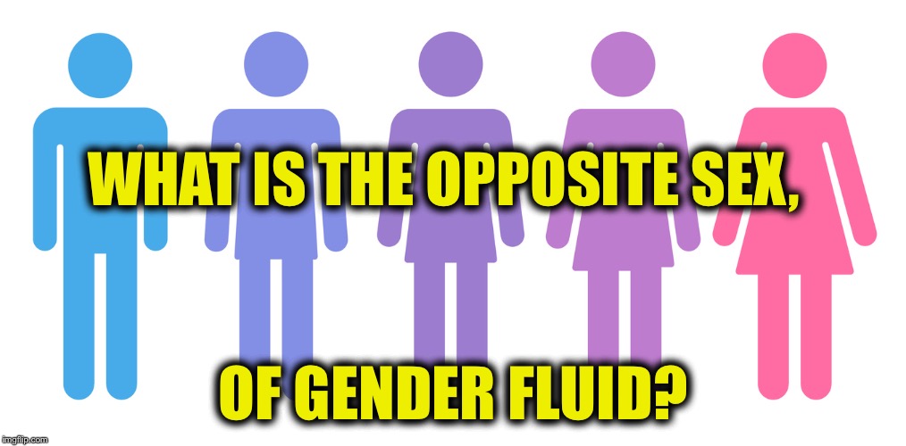 Gender Solid, or Gender Gas? - Imgflip