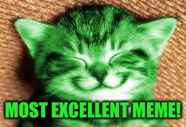 happy RayCat | MOST EXCELLENT MEME! | image tagged in happy raycat | made w/ Imgflip meme maker