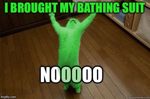 RayCat Noooooo | I BROUGHT MY BATHING SUIT | image tagged in raycat noooooo | made w/ Imgflip meme maker