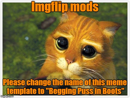 Shrek Cat | Imgflip mods; Please change the name of this meme template to "Begging Puss in Boots" | image tagged in memes,shrek cat | made w/ Imgflip meme maker