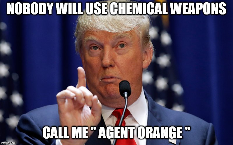 Donald Trump | NOBODY WILL USE CHEMICAL WEAPONS; CALL ME " AGENT ORANGE " | image tagged in donald trump | made w/ Imgflip meme maker