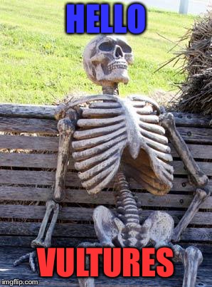 Waiting Skeleton Meme | HELLO VULTURES | image tagged in memes,waiting skeleton | made w/ Imgflip meme maker