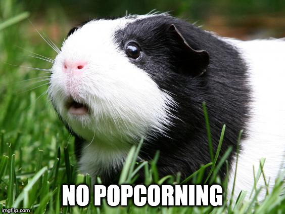 NO POPCORNING | image tagged in memes | made w/ Imgflip meme maker