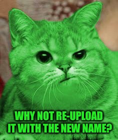 RayCat Annoyed | WHY NOT RE-UPLOAD IT WITH THE NEW NAME? | image tagged in raycat annoyed | made w/ Imgflip meme maker