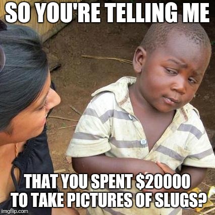Third World Skeptical Kid Meme | SO YOU'RE TELLING ME; THAT YOU SPENT $20000 TO TAKE PICTURES OF SLUGS? | image tagged in memes,third world skeptical kid | made w/ Imgflip meme maker