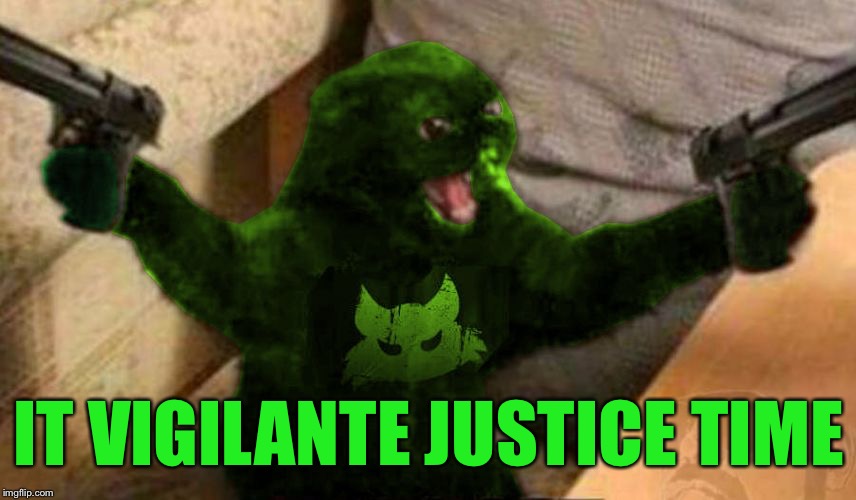 RayCat Angry | IT VIGILANTE JUSTICE TIME | image tagged in raycat angry | made w/ Imgflip meme maker