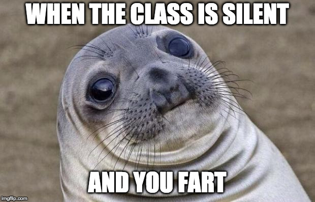Awkward Moment Sealion Meme | WHEN THE CLASS IS SILENT; AND YOU FART | image tagged in memes,awkward moment sealion | made w/ Imgflip meme maker