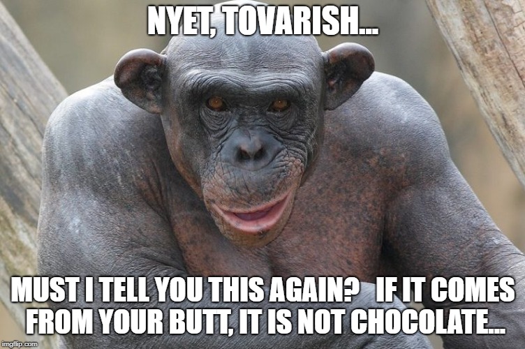 NYET, TOVARISH... MUST I TELL YOU THIS AGAIN? 

IF IT COMES FROM YOUR BUTT, IT IS NOT CHOCOLATE... | image tagged in chimpo | made w/ Imgflip meme maker