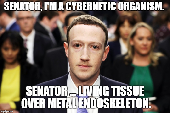Mark Zuckerberg | SENATOR, I'M A CYBERNETIC ORGANISM. SENATOR ... LIVING TISSUE OVER METAL ENDOSKELETON. | image tagged in mark zuckerberg | made w/ Imgflip meme maker