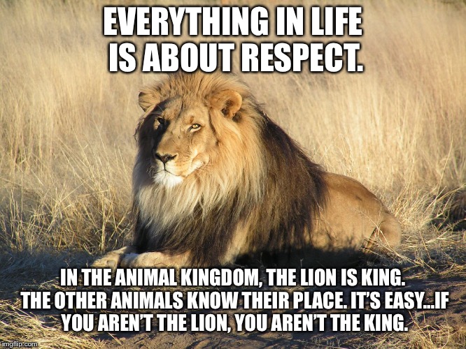 The king | EVERYTHING IN LIFE IS ABOUT RESPECT. IN THE ANIMAL KINGDOM, THE LION IS KING. THE OTHER ANIMALS KNOW THEIR PLACE. IT’S EASY...IF YOU AREN’T THE LION, YOU AREN’T THE KING. | image tagged in the king | made w/ Imgflip meme maker