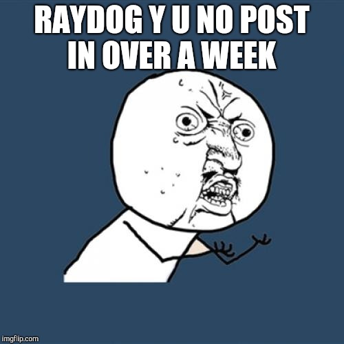 Y U No Meme | RAYDOG Y U NO POST IN OVER A WEEK | image tagged in memes,y u no | made w/ Imgflip meme maker