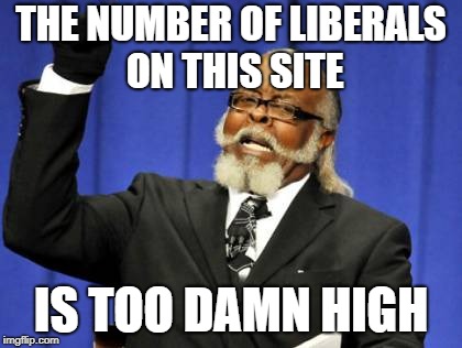 Too Damn High Meme | THE NUMBER OF LIBERALS ON THIS SITE IS TOO DAMN HIGH | image tagged in memes,too damn high | made w/ Imgflip meme maker