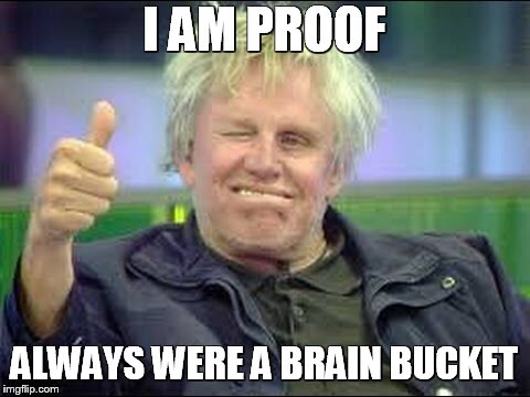 Gary Busey approves | I AM PROOF; ALWAYS WERE A BRAIN BUCKET | image tagged in gary busey approves | made w/ Imgflip meme maker