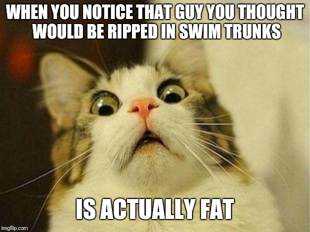 Scared Cat | WHEN YOU NOTICE THAT GUY YOU THOUGHT WOULD BE RIPPED IN SWIM TRUNKS; IS ACTUALLY FAT | image tagged in memes,scared cat | made w/ Imgflip meme maker
