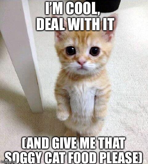 Cute Cat Meme | I’M COOL,   DEAL WITH IT; (AND GIVE ME THAT SOGGY CAT FOOD PLEASE) | image tagged in memes,cute cat | made w/ Imgflip meme maker
