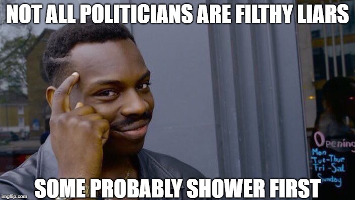 Roll Safe Think About It | NOT ALL POLITICIANS ARE FILTHY LIARS; SOME PROBABLY SHOWER FIRST | image tagged in memes,roll safe think about it | made w/ Imgflip meme maker