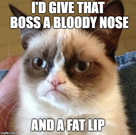 I'D GIVE THAT BOSS A BLOODY NOSE AND A FAT LIP | made w/ Imgflip meme maker