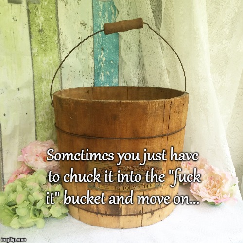 Fuck It Bucket... | Sometimes you just have to chuck it into the "fuck it" bucket and move on... | image tagged in sometimes,chuck it,move on | made w/ Imgflip meme maker