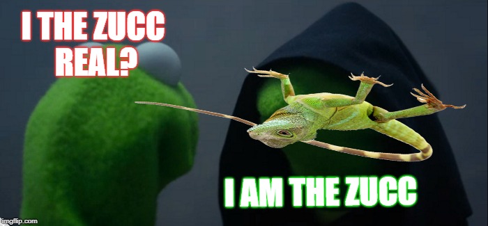 who i da zucc | I THE ZUCC REAL? I AM THE ZUCC | image tagged in memes,evil kermit | made w/ Imgflip meme maker