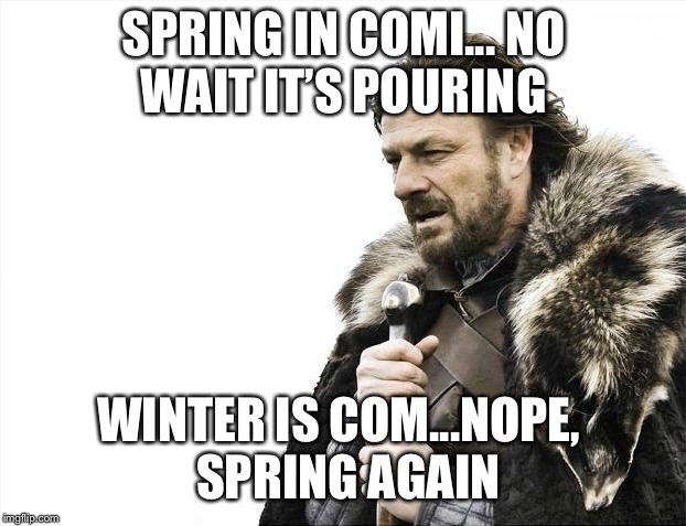 Brace Yourselves X is Coming | SPRING IN COMI...
NO WAIT IT’S POURING; WINTER IS COM...NOPE,
 SPRING AGAIN | image tagged in memes,brace yourselves x is coming | made w/ Imgflip meme maker