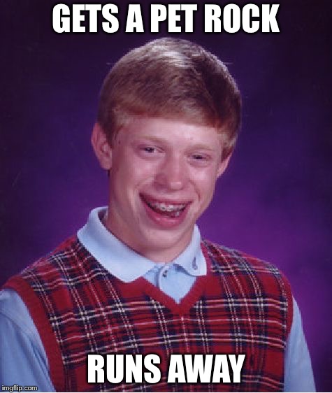 Bad Luck Brian | GETS A PET ROCK; RUNS AWAY | image tagged in memes,bad luck brian | made w/ Imgflip meme maker