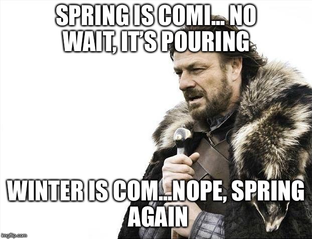 Brace Yourselves X is Coming | SPRING IS COMI...
NO WAIT, IT’S POURING; WINTER IS COM...NOPE,
SPRING AGAIN | image tagged in memes,brace yourselves x is coming | made w/ Imgflip meme maker