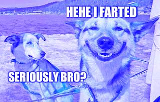 Original Stoner Dog Meme | HEHE I FARTED; SERIOUSLY BRO? | image tagged in memes,original stoner dog | made w/ Imgflip meme maker