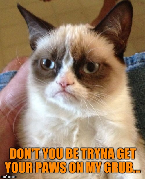 Grumpy Cat Meme | DON'T YOU BE TRYNA GET YOUR PAWS ON MY GRUB... | image tagged in memes,grumpy cat | made w/ Imgflip meme maker