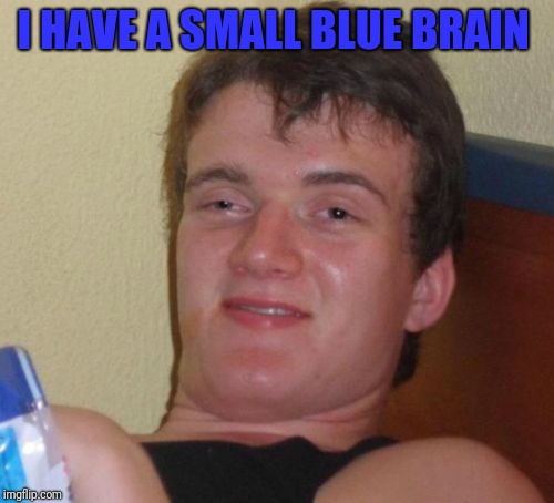 10 Guy Meme | I HAVE A SMALL BLUE BRAIN | image tagged in memes,10 guy | made w/ Imgflip meme maker