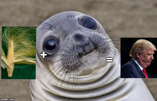 Trump^3=emc^2 | =; + | image tagged in memes,awkward moment sealion,silly,funny,genius,true | made w/ Imgflip meme maker