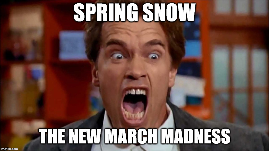 Spring Snow  | SPRING SNOW; THE NEW MARCH MADNESS | image tagged in arnold screaming,snow,spring | made w/ Imgflip meme maker
