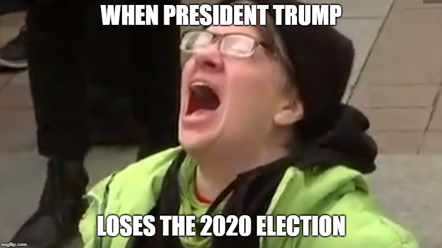 "But I want to make fun of 'Not My President Trump' some more!" | WHEN PRESIDENT TRUMP; LOSES THE 2020 ELECTION | image tagged in screaming liberal,donald trump,trump 2020,trump,make donald drumpf again | made w/ Imgflip meme maker