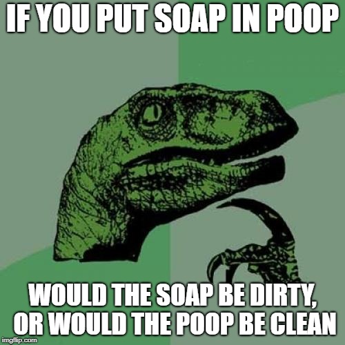 Philosoraptor | IF YOU PUT SOAP IN POOP; WOULD THE SOAP BE DIRTY, OR WOULD THE POOP BE CLEAN | image tagged in memes,philosoraptor | made w/ Imgflip meme maker