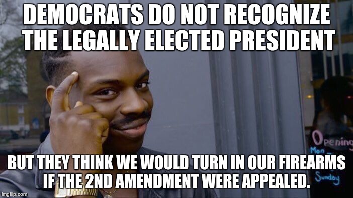 Roll Safe Think About It Meme | DEMOCRATS DO NOT RECOGNIZE THE LEGALLY ELECTED PRESIDENT; BUT THEY THINK WE WOULD TURN IN OUR FIREARMS IF THE 2ND AMENDMENT WERE APPEALED. | image tagged in memes,roll safe think about it | made w/ Imgflip meme maker