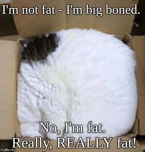 I'm not fat - I'm big boned. No, I'm fat. 
 Really, REALLY fat! | image tagged in huge fat white  black cat | made w/ Imgflip meme maker