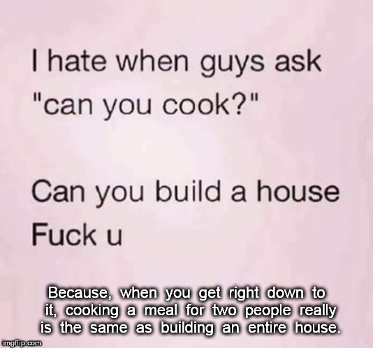 Cooking a meal is like building a house | Because,  when  you  get  right  down  to  it,  cooking  a  meal  for  two  people  really  is  the  same  as  building  an  entire  house. | image tagged in guys and gals,cooking,women | made w/ Imgflip meme maker