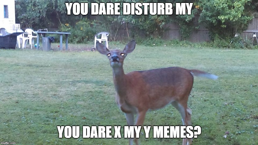 YOU DARE DISTURB MY; YOU DARE X MY Y MEMES? | image tagged in you dare x my y | made w/ Imgflip meme maker