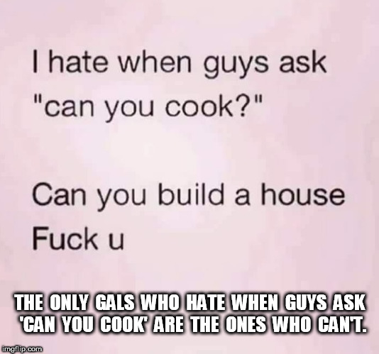 can you cook | THE  ONLY  GALS  WHO  HATE  WHEN  GUYS  ASK  'CAN  YOU  COOK'  ARE  THE  ONES  WHO  CAN'T. | image tagged in cook | made w/ Imgflip meme maker