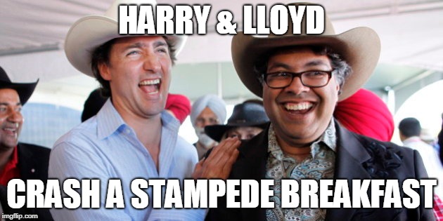 HARRY & LLOYD; CRASH A STAMPEDE BREAKFAST | image tagged in dumb and dumber | made w/ Imgflip meme maker