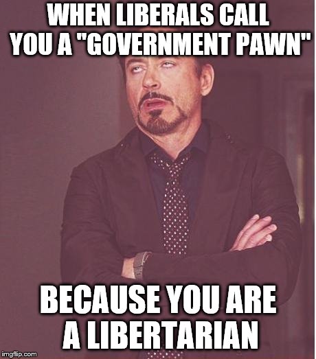 Face You Make Robert Downey Jr Meme | WHEN LIBERALS CALL YOU A "GOVERNMENT PAWN"; BECAUSE YOU ARE A LIBERTARIAN | image tagged in memes,face you make robert downey jr | made w/ Imgflip meme maker