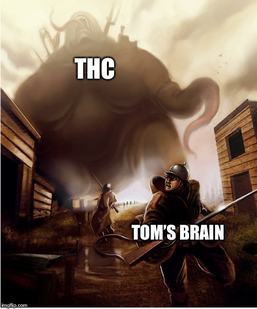 Big monster | THC; TOM’S BRAIN | image tagged in big monster | made w/ Imgflip meme maker