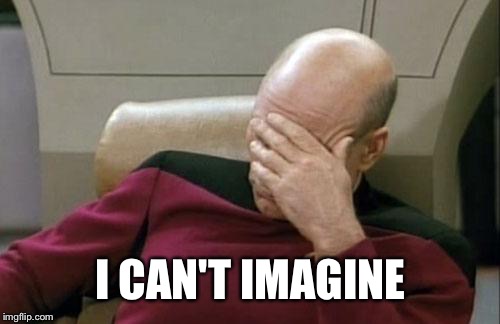 Captain Picard Facepalm Meme | I CAN'T IMAGINE | image tagged in memes,captain picard facepalm | made w/ Imgflip meme maker