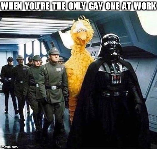 When you're the only gay one at work | WHEN  YOU'RE  THE  ONLY  GAY  ONE  AT  WORK | image tagged in gay,darth vader | made w/ Imgflip meme maker