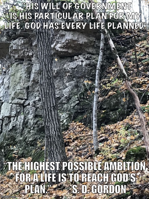 “HIS WILL OF GOVERNMENT IS HIS PARTICULAR PLAN FOR MY LIFE. GOD HAS EVERY LIFE PLANNED.”; “THE HIGHEST POSSIBLE AMBITION FOR A LIFE IS TO REACH GOD’S PLAN.”
          S. D. GORDON | image tagged in hillside | made w/ Imgflip meme maker