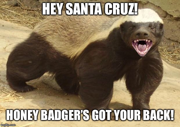 Honey badger | HEY SANTA CRUZ! HONEY BADGER’S GOT YOUR BACK! | image tagged in honey badger | made w/ Imgflip meme maker