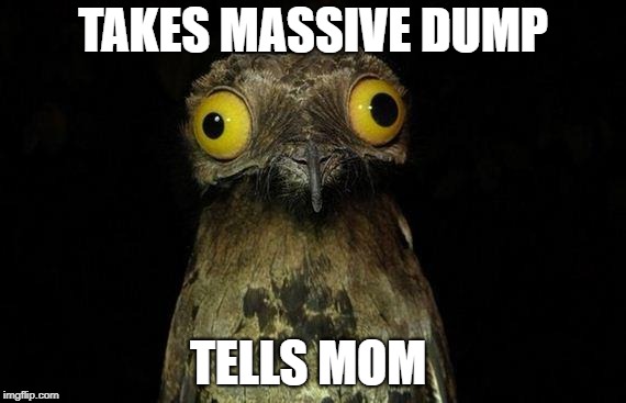 Weird Stuff I Do Potoo Meme | TAKES MASSIVE DUMP; TELLS MOM | image tagged in memes,weird stuff i do potoo | made w/ Imgflip meme maker
