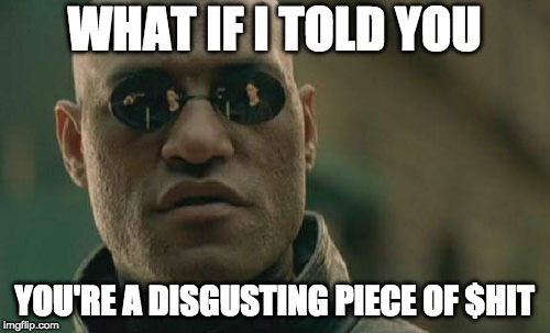 Matrix Morpheus Meme | WHAT IF I TOLD YOU YOU'RE A DISGUSTING PIECE OF $HIT | image tagged in memes,matrix morpheus | made w/ Imgflip meme maker