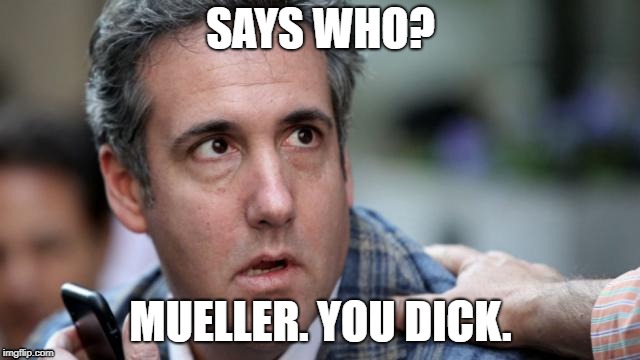 Says Who? Mueller. Dick. | SAYS WHO? MUELLER. YOU DICK. | image tagged in says who mueller dick | made w/ Imgflip meme maker