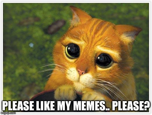 Shrek Cat Meme | PLEASE LIKE MY MEMES.. PLEASE? | image tagged in memes,shrek cat | made w/ Imgflip meme maker